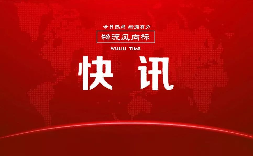 新奥天天正版资料大全，新奥天天正版资料大全，深度解析与探索