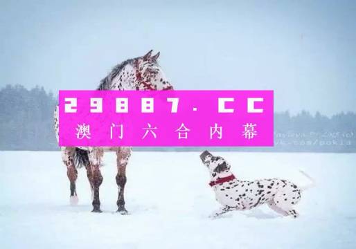 最准一肖一码100%澳门，探寻最准一肖一码，澳门之秘
