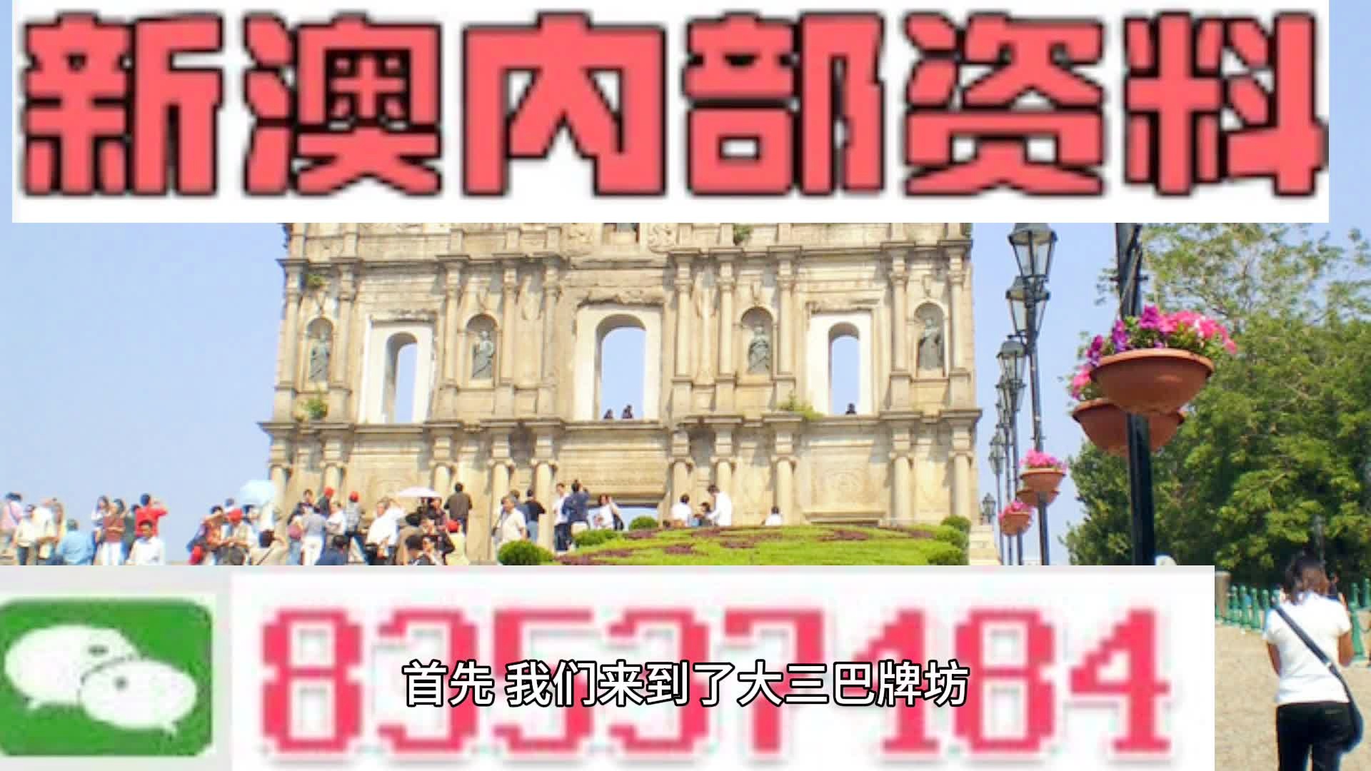 新澳2025大全正版免费资料，新澳2025大全正版免费资料，探索与启示