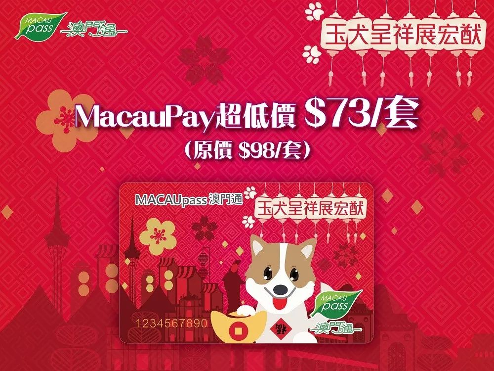 澳门正版资料大全资料生肖卡，澳门正版资料大全与生肖卡的独特魅力