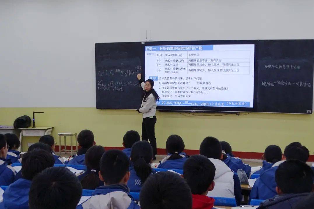 2025年一肖一码一中一特，探索未来彩票奥秘，2025年一肖一码一中一特