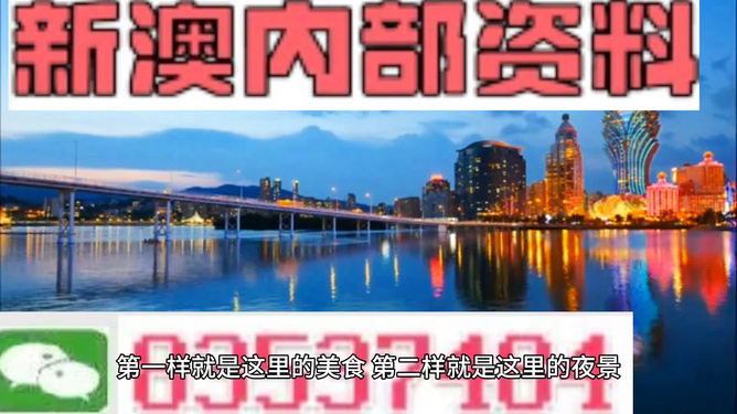 新澳门免费资料大全在线查看，新澳门免费资料大全在线查看，探索与启示