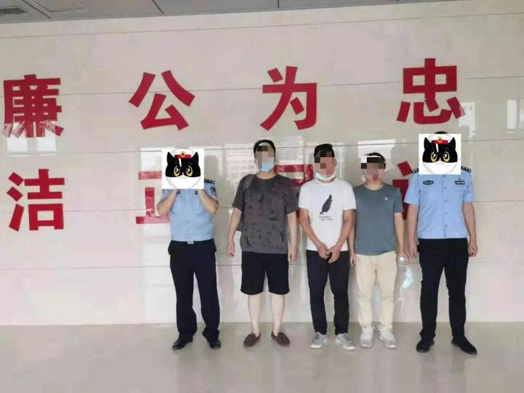 2025澳门资料表，澳门资料表概览，探索未来的蓝图与机遇（至2025年）