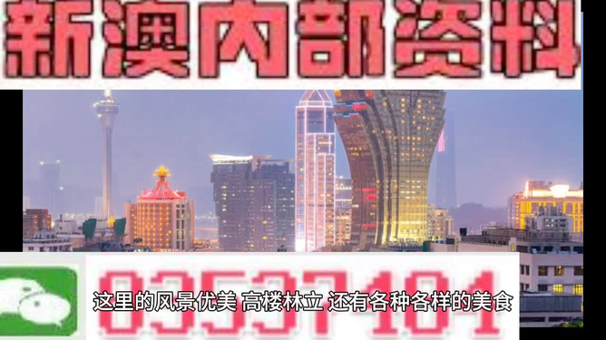 204年澳门免费精准资料，澳门免费精准资料，探索未来的可能性与机遇