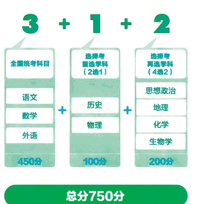 2025新澳天天资料免费大全，2025新澳天天资料免费大全——探索未来的信息海洋