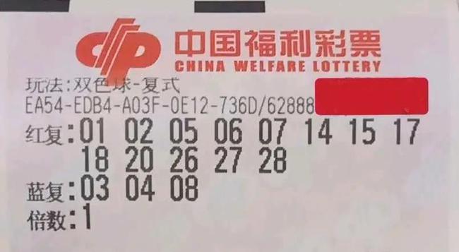 新澳2025今晚开奖结果，新澳2025今晚开奖结果揭晓，一场期待与激情的盛宴