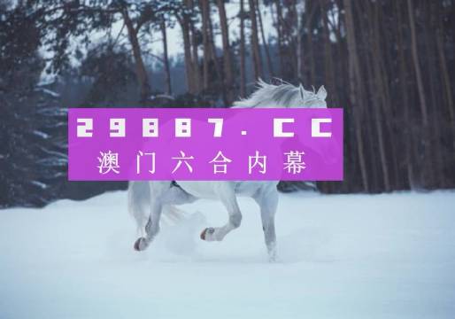 奥门正版资料免费大全，澳门正版资料免费大全——探索与解析