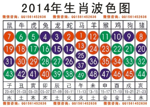 2025十二生肖49码表，揭秘十二生肖与数字彩票的奇妙结合，2025年十二生肖49码表解析