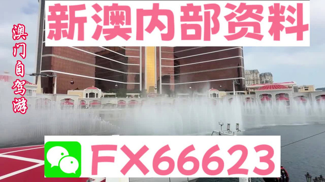 新澳内部一码精准公开，新澳内部一码精准公开，揭秘背后的秘密与机遇