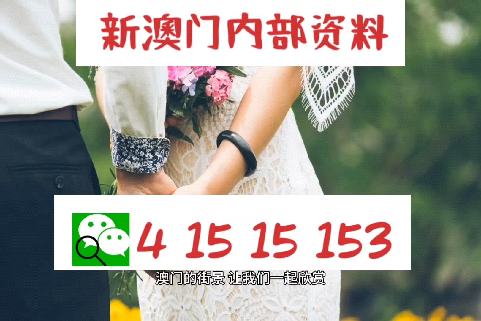 澳门今晚开什么特别号码，澳门今晚特别号码揭晓，探索幸运之城的秘密