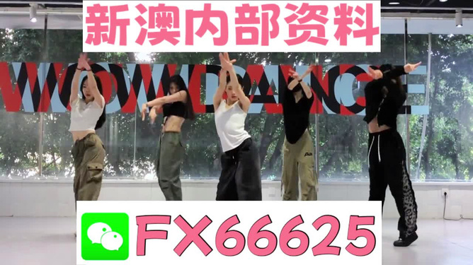 精准一肖100准确精准的含义，精准一肖，探寻百分之百准确与精准的含义