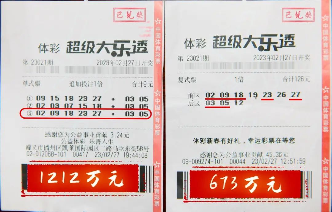 澳门今晚特马开什么号，澳门今晚特马开什么号，探索彩票背后的文化与社会现象