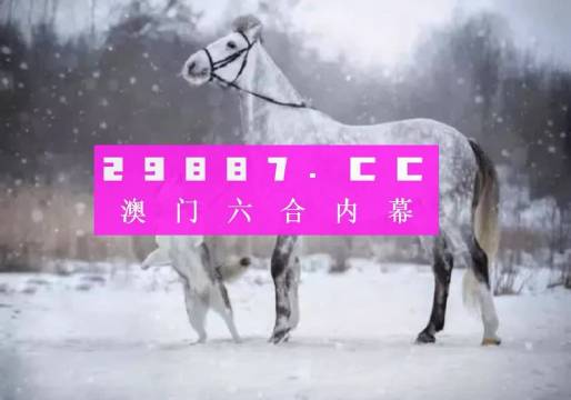 澳门精准一肖一码一一中，澳门精准一肖一码一一中，探索背后的秘密与真相