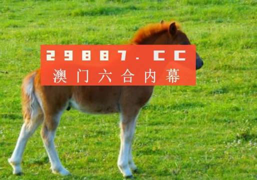 澳门一肖一码一待一中，澳门一肖一码一待一中——探寻幸运之码的奥秘