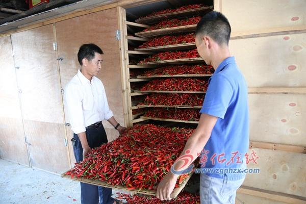 王中王王中王免费资料一，王中王，深度解析免费资料的重要性与价值