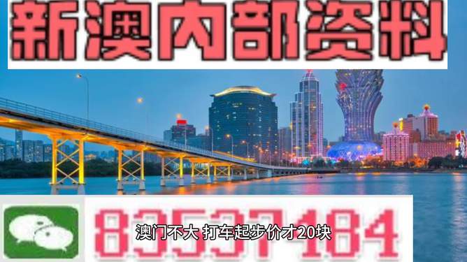 新澳门免费大全资料，新澳门免费大全资料，探索与解读