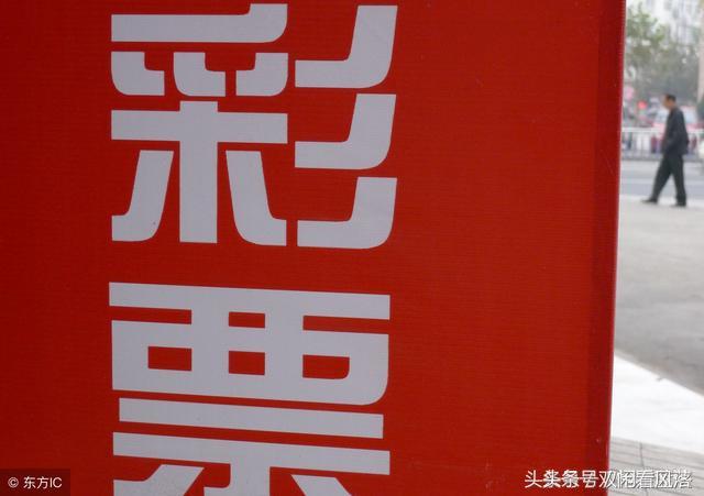 二码中特期期准资料，二码中特期期准资料的重要性及应用解析