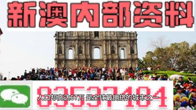 新澳门免费资料大全正版，新澳门免费资料大全正版，探索与解析