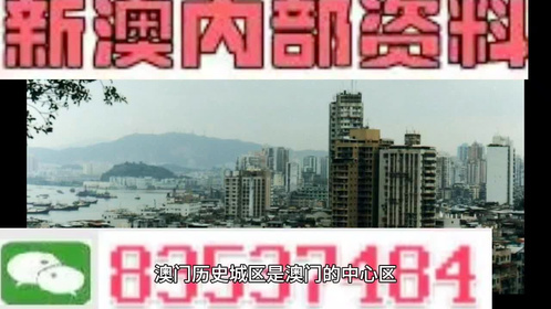 2025年新澳门全年免费资料大全，澳门全年免费资料大全（XXXX年最新版）
