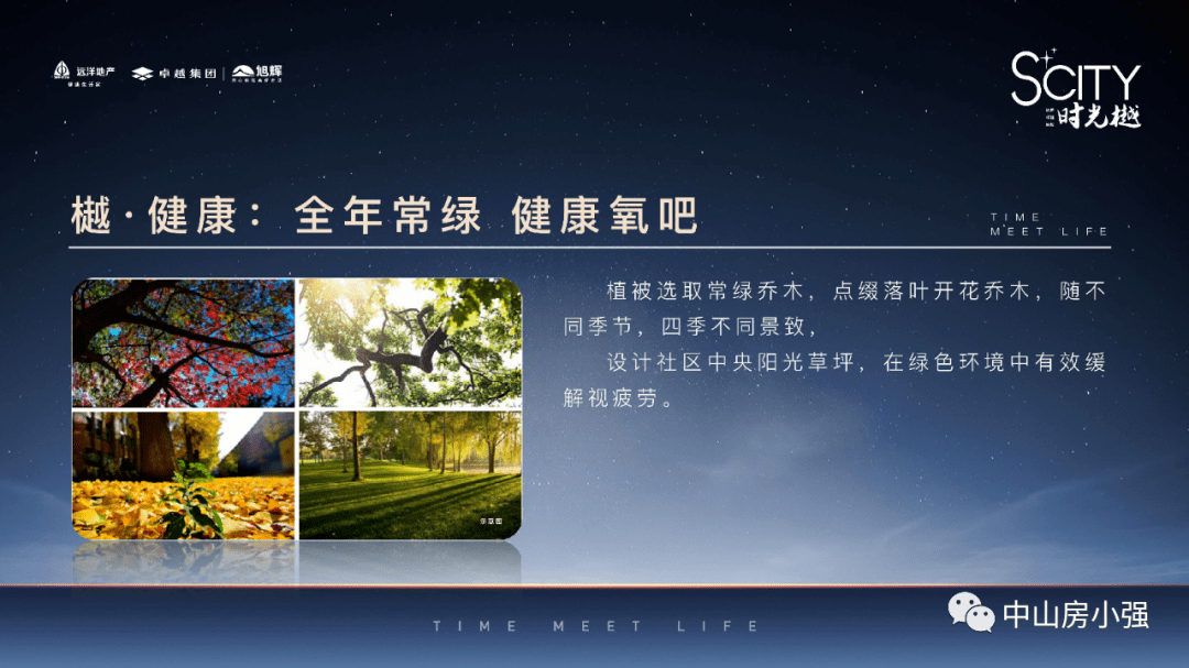 新澳2025最新资料24码，新澳2025最新资料解析与24码应用探讨