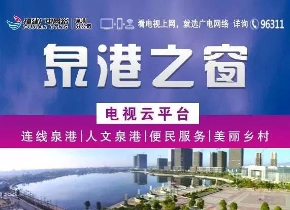 新奥最准免费资料大全，新奥最准免费资料大全，探索与启示