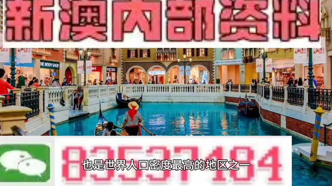 新澳门今晚精准一肖，新澳门今晚精准一肖，探索生肖预测的魅力与真相