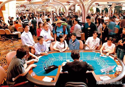 今晚澳门9点35分开什么，今晚澳门9点35分的精彩盛宴，探寻未知的开奖奇迹