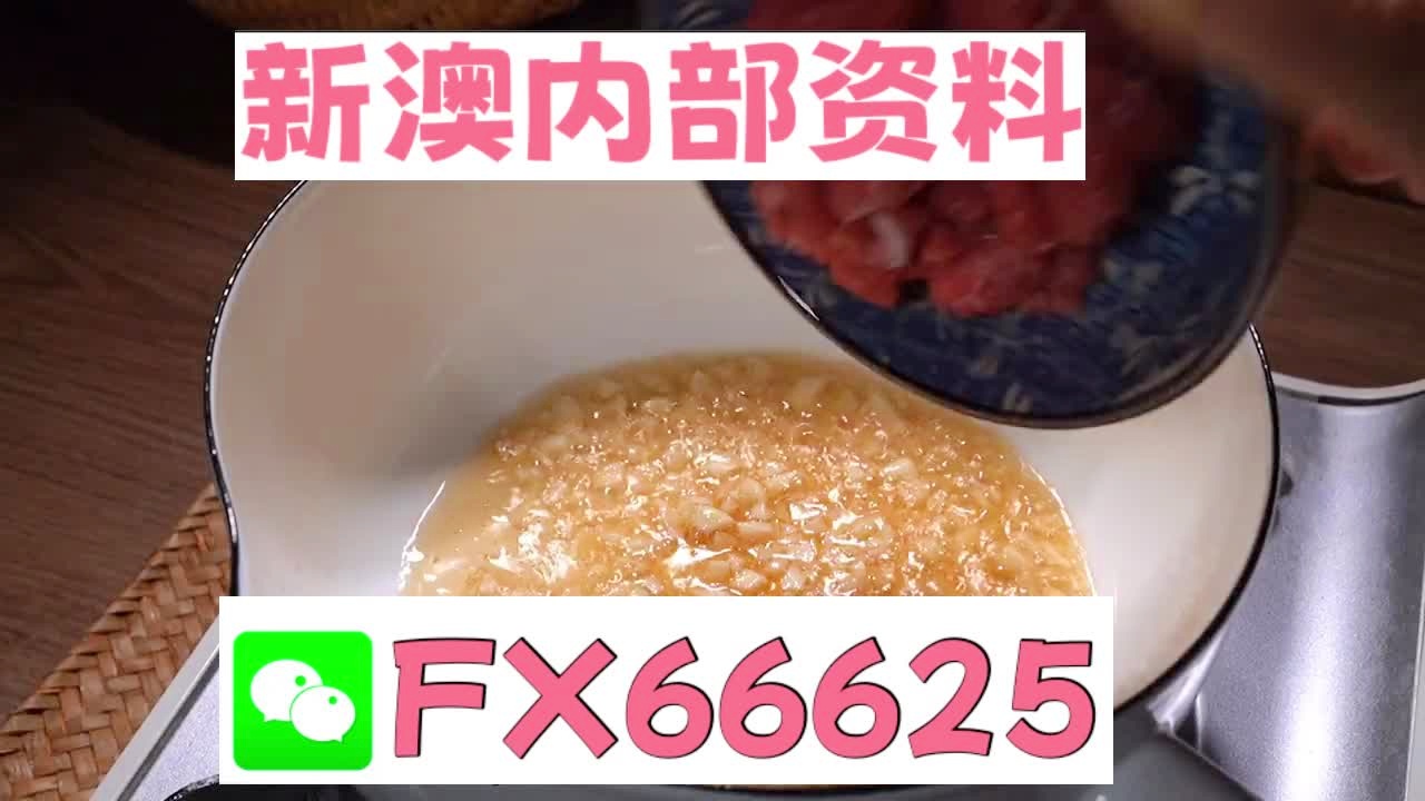 新澳门精准5码中特，新澳门精准5码中特，探索与解析