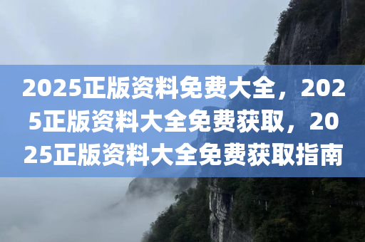 2025年正版资料免费大全最新版本亮点介绍，2025年正版资料免费大全最新版本亮点介绍