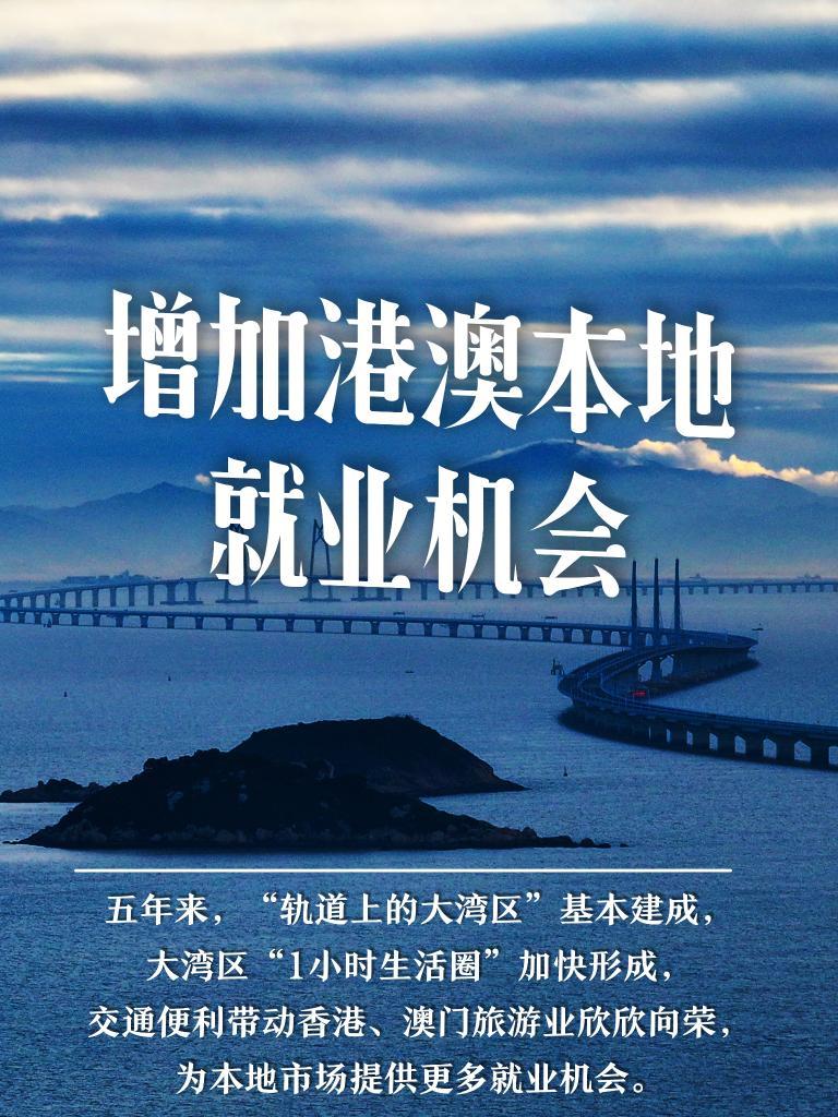 2025年澳门正版免费资料，澳门正版免费资料的未来展望，迈向2025年