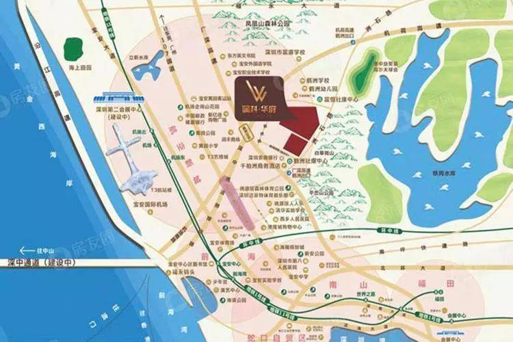 白小姐大前正版四不像一肖图，白小姐大前正版四不像一肖图，揭秘神秘彩票现象