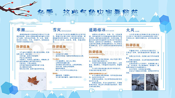 全年资料免费大全，全年资料免费大全，探索知识的海洋与无限可能