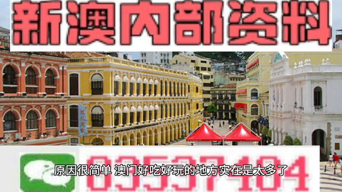 新澳门内部一码最精准公开，新澳门内部一码最精准公开，探索真实与精准的边界