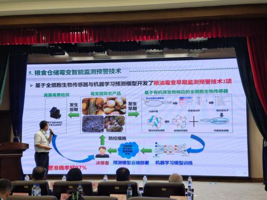 澳门精准四肖期期准免费，澳门精准四肖期期准免费——揭秘澳门博彩文化中的独特魅力