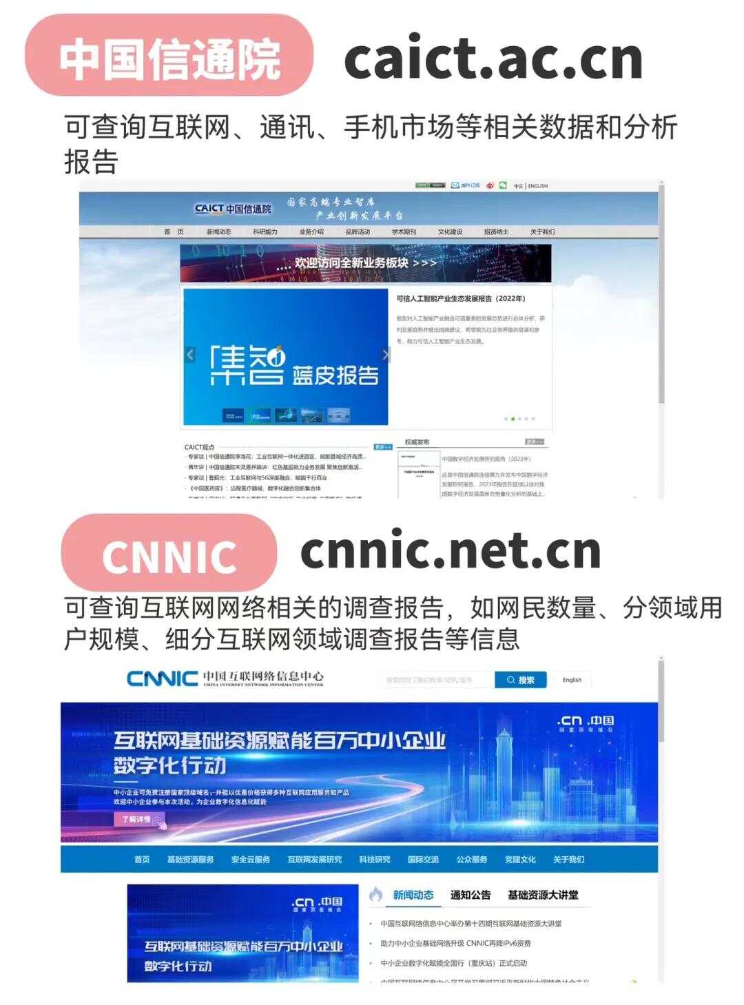 62449免费资料中特，探索与发现，在62449免费资料中的独特宝藏