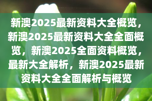 新澳2025年正版资料，新澳2025年正版资料深度解析